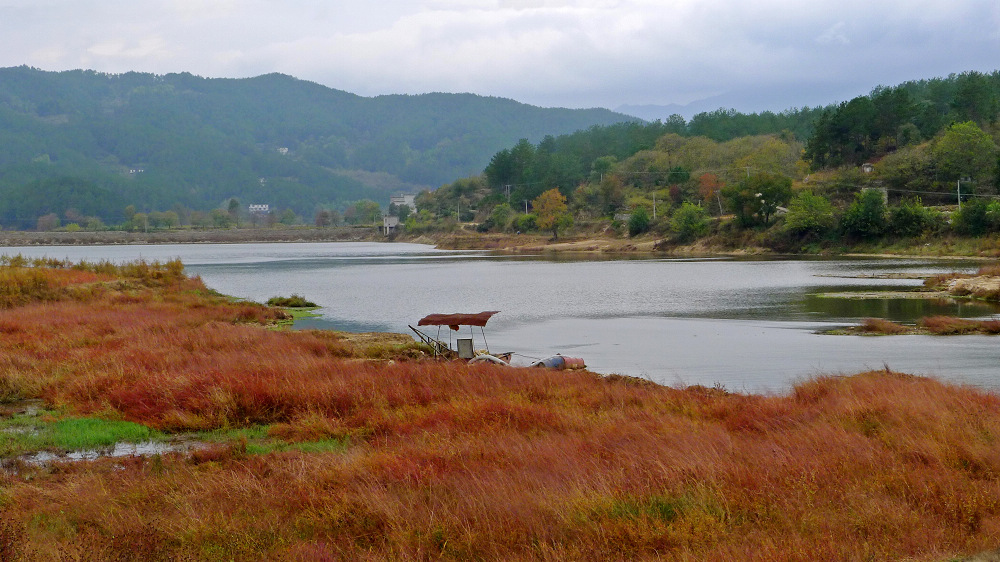 p1020182.jpg