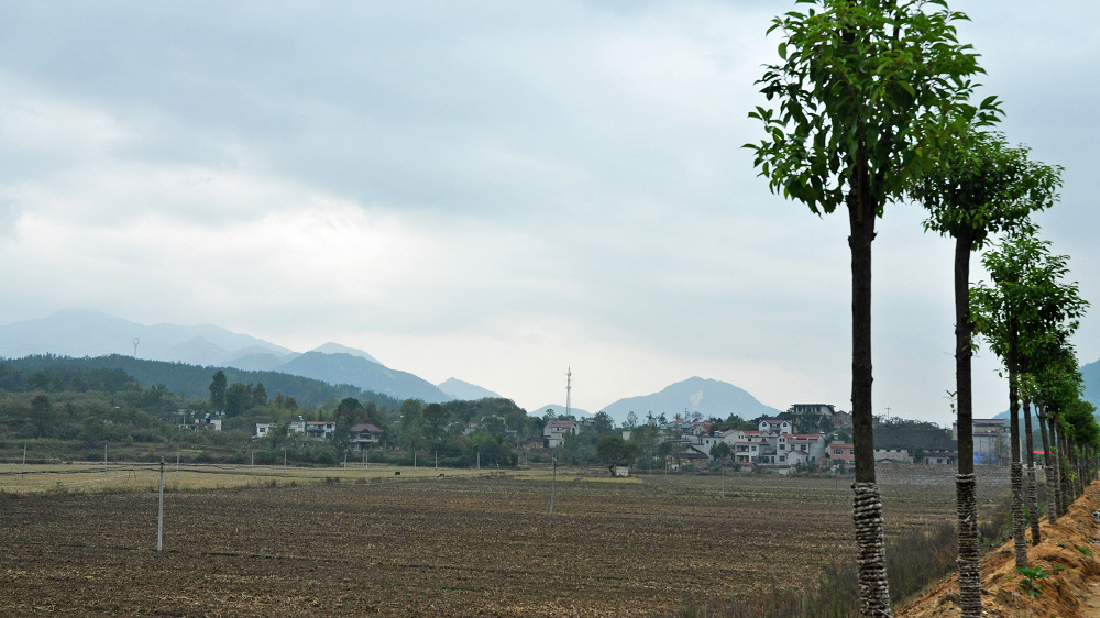 dsc_0630c.jpg