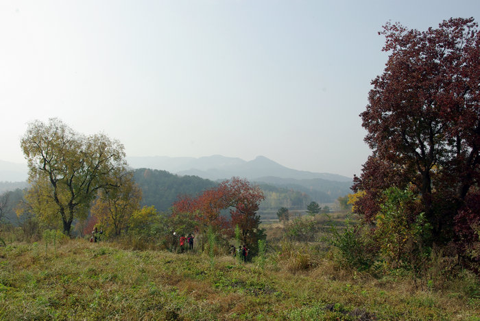 imgp6507.jpg