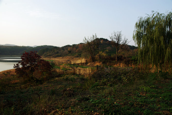imgp6555.jpg