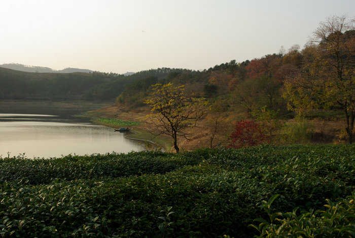 imgp6558.jpg
