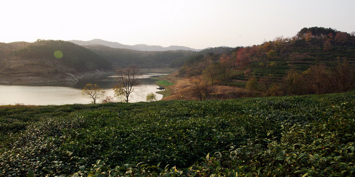 imgp6576.jpg