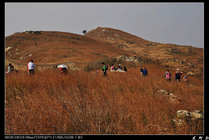 dsc_2293.jpg