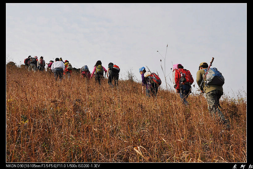dsc_2281.jpg