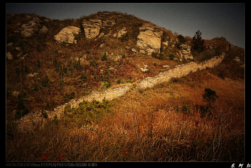 dsc_2268.jpg