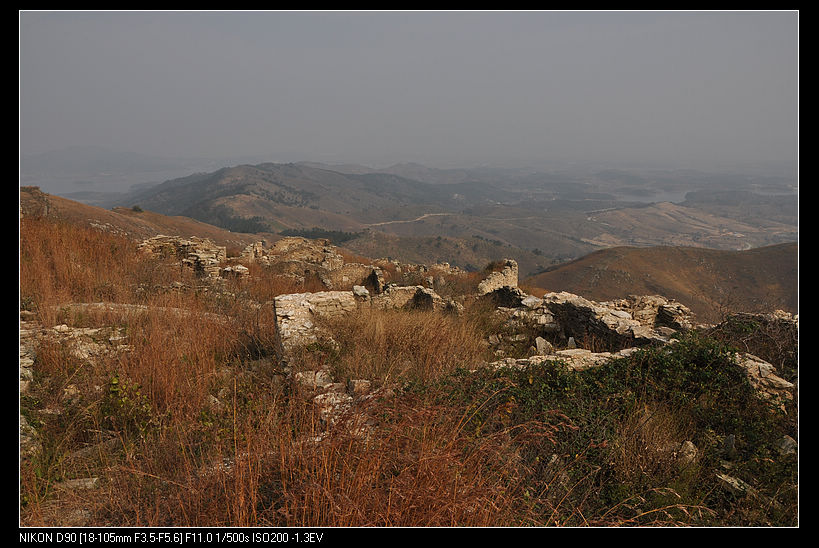 dsc_2317.jpg