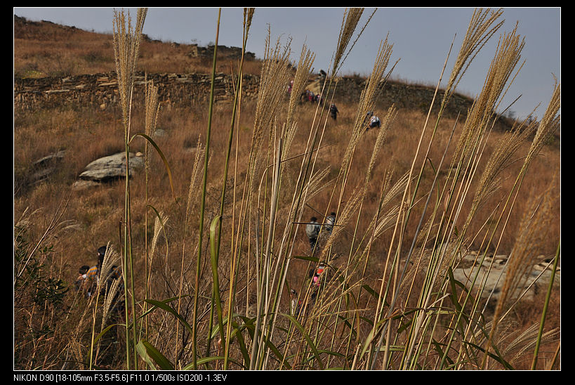 dsc_2259.jpg