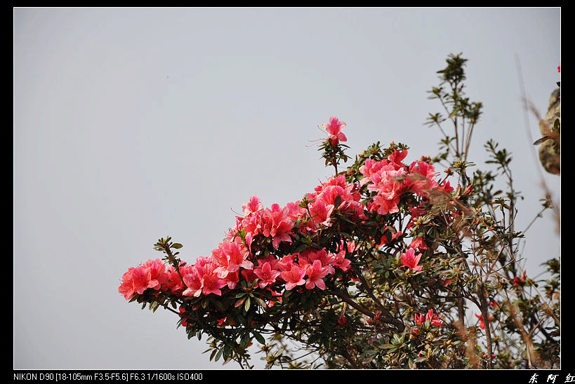 dsc_2308.jpg