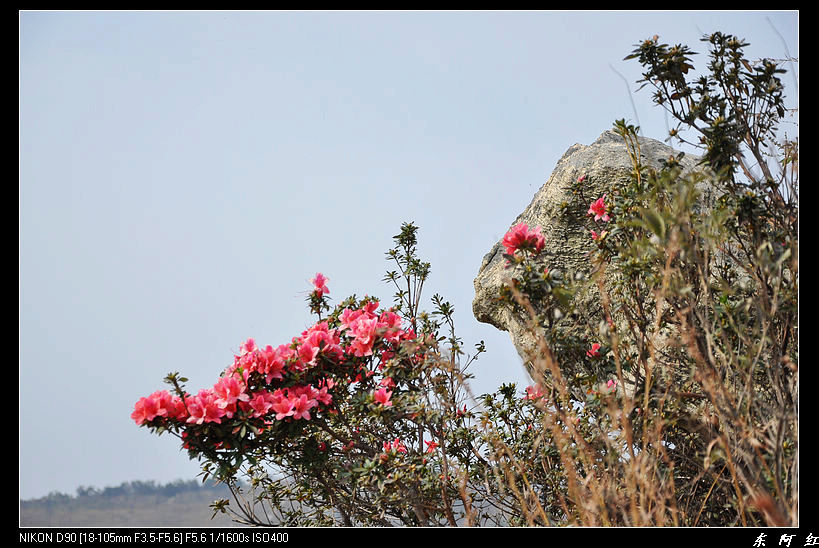 dsc_2307.jpg