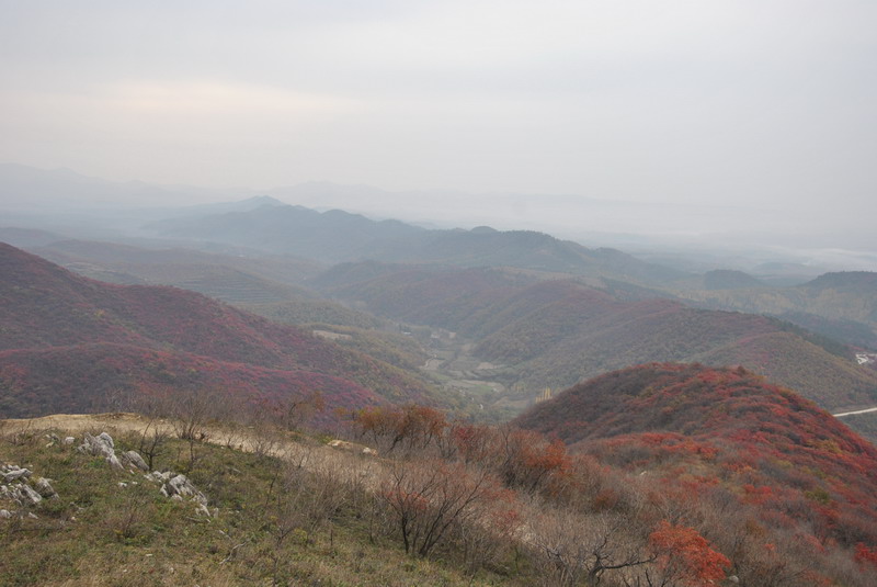 2011ƸںҶ_104_С.jpg