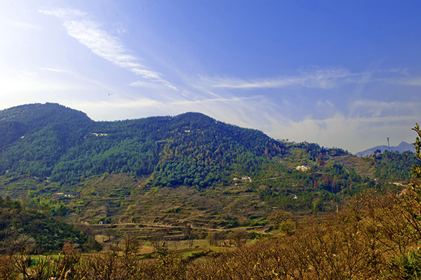 _dsc8225a.jpg