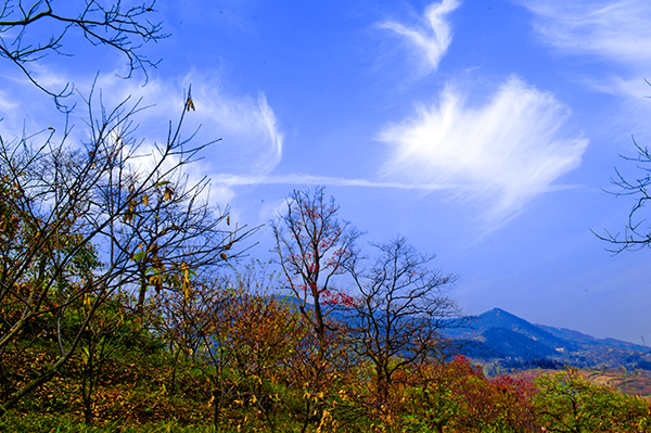 _dsc8255a.jpg