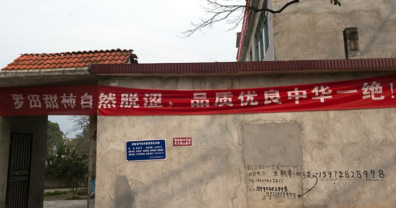 _dsc8264a.jpg