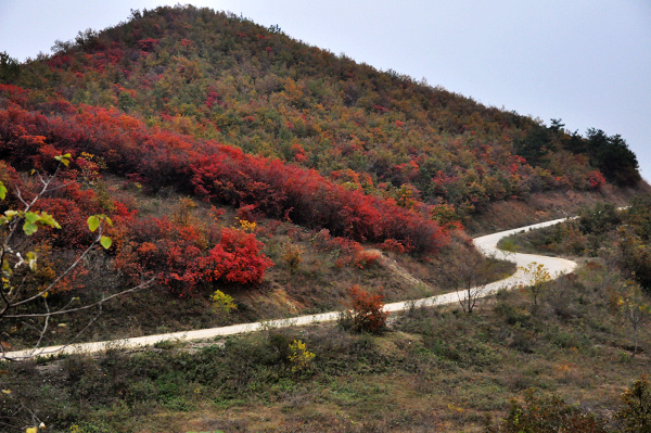 dsc_0075.jpg