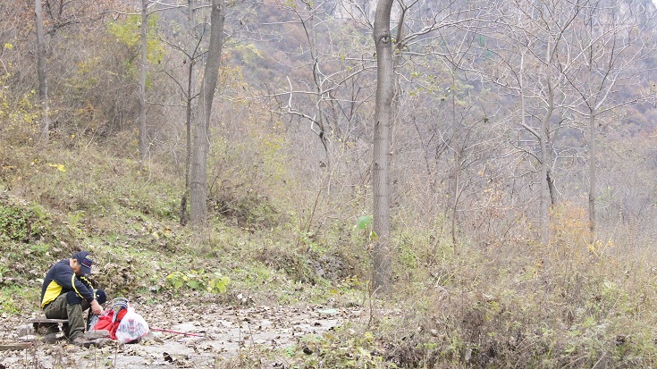 195.jpg