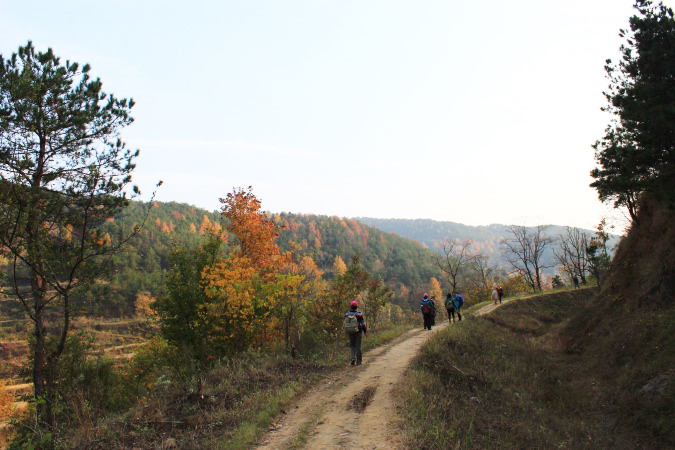 img_3803.jpg