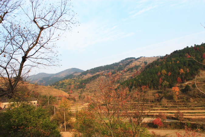img_3806.jpg
