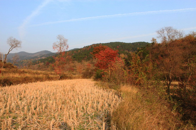 img_3834.jpg