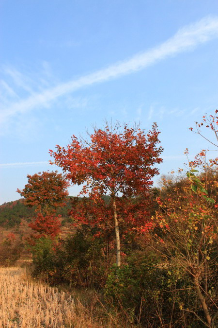 img_3838.jpg