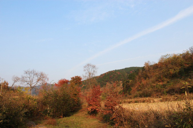 img_3852.jpg