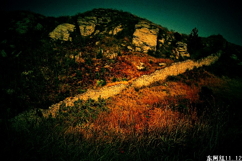 dsc_2268.jpg