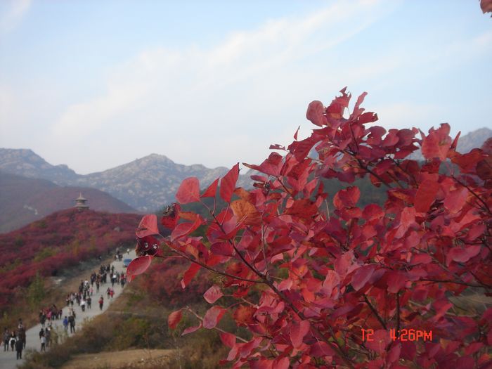 dsc02260.jpg