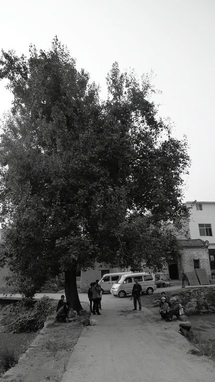 p1120544.jpg