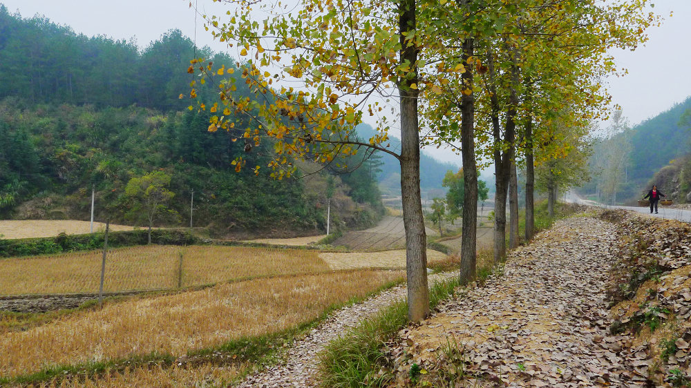 p1020035.jpg