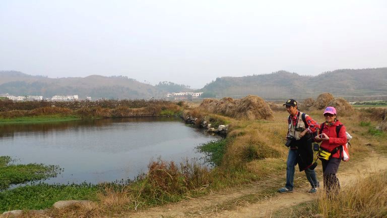 p1120536.jpg