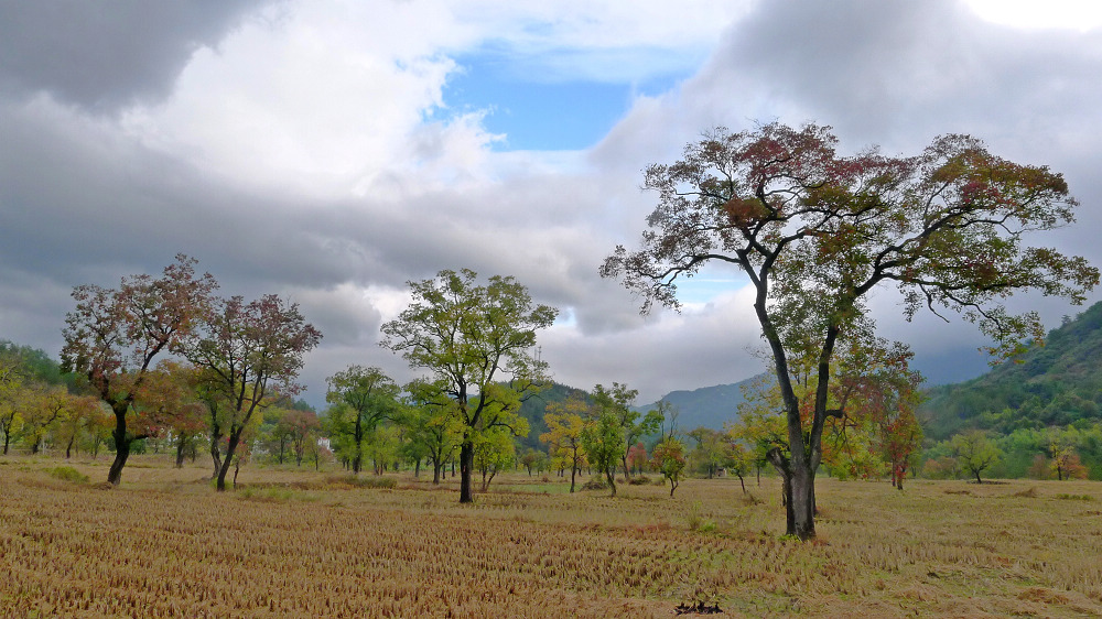 p1020107a.jpg