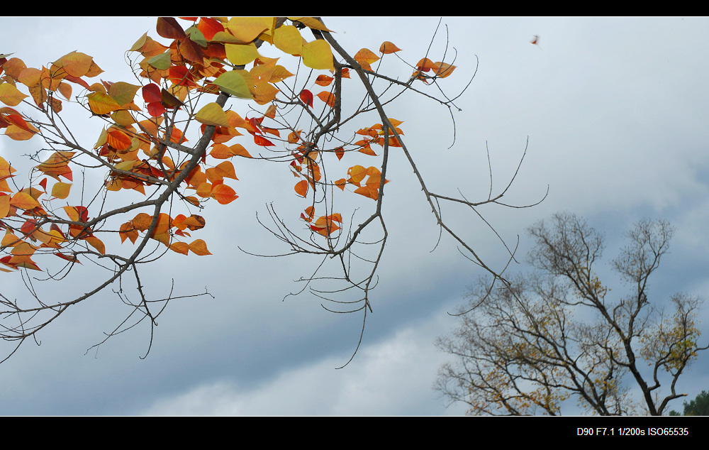dsc_0418.jpg