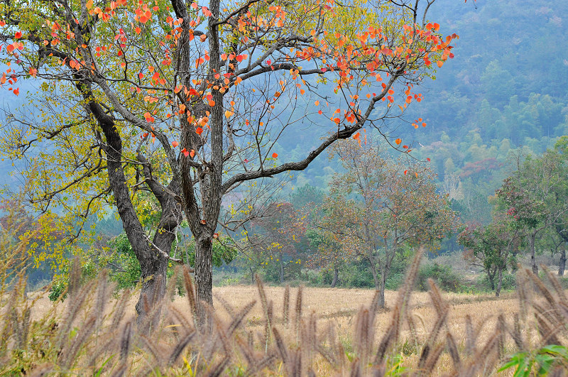 dsc_0512.jpg