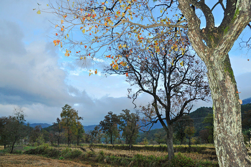 dsc_0270.jpg