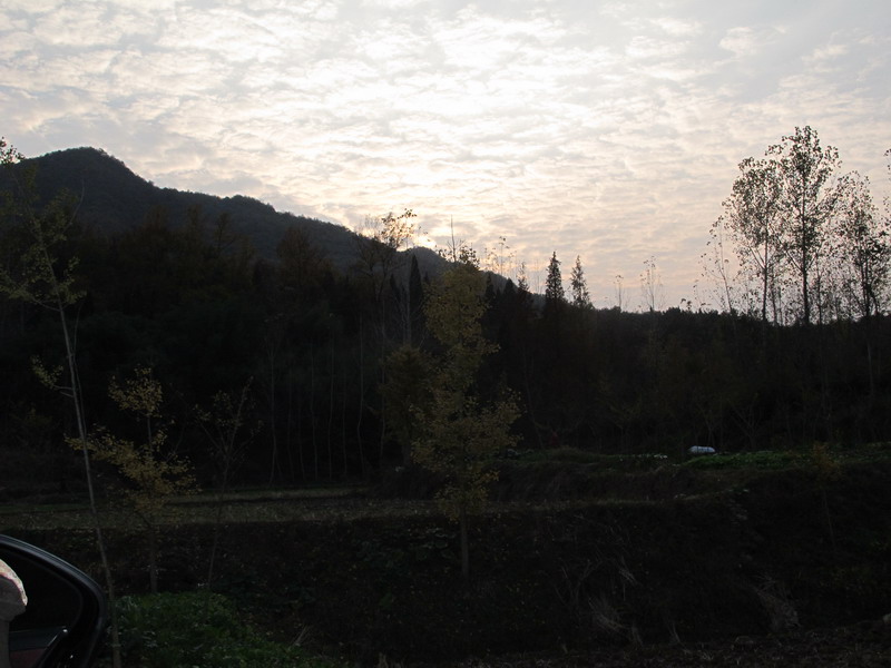 img_1169_СС.jpg