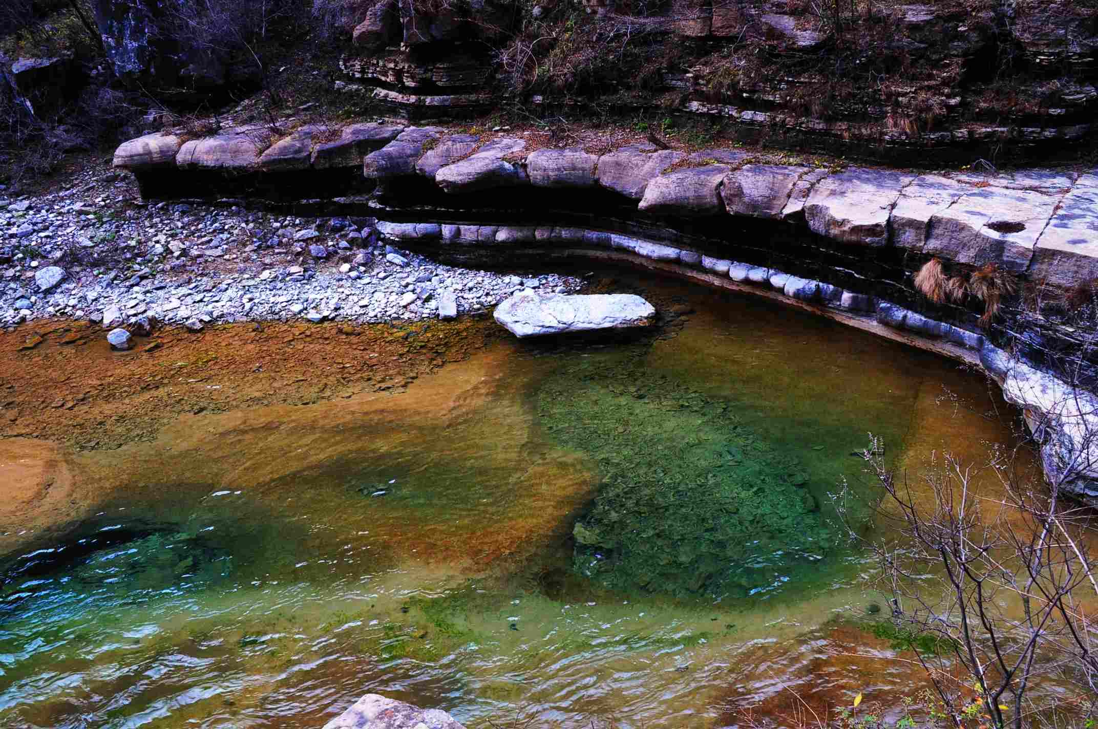 dsc_1126.jpg