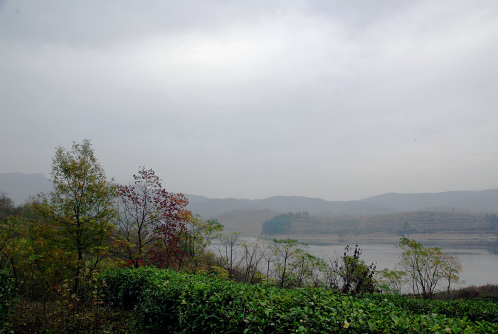 imgp6684.jpg