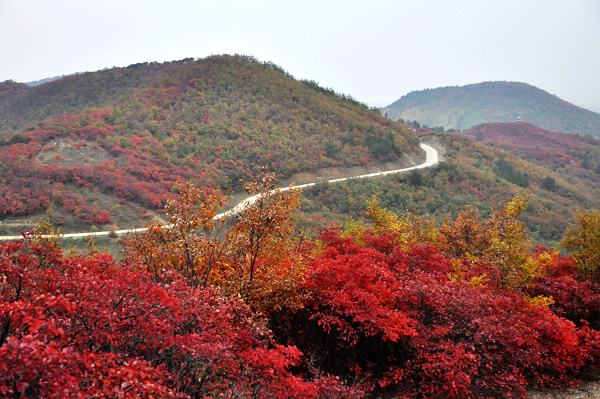 dsc_0092.jpg