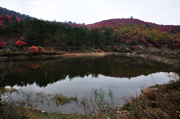 dsc_0119.jpg