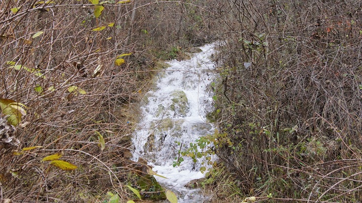 167.jpg