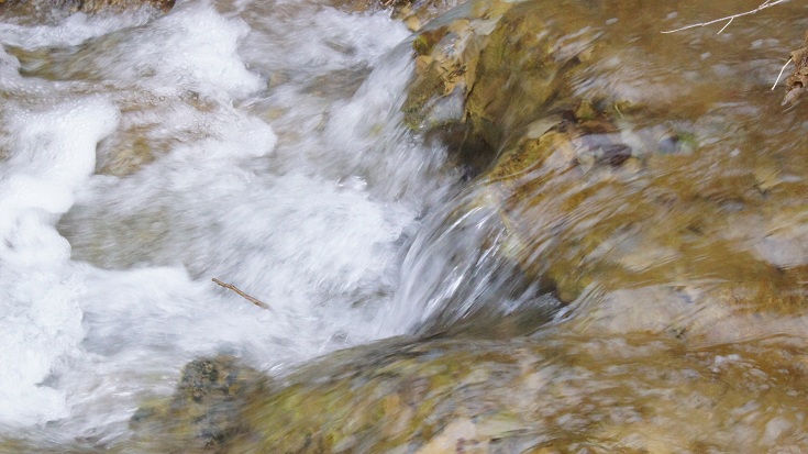 171.jpg