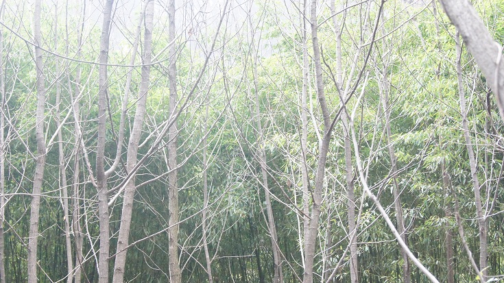174.jpg