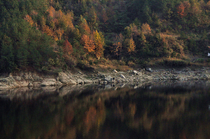 dsc_0155_.jpg
