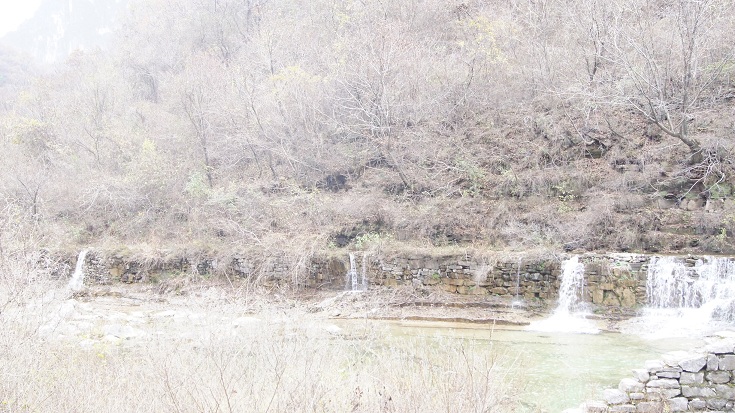 206.jpg