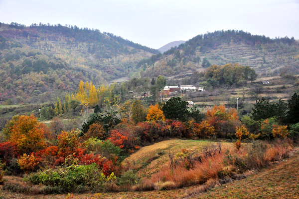 dsc_0145.jpg