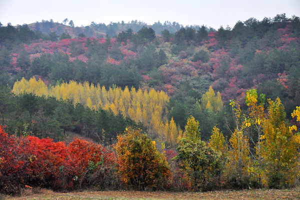 dsc_0146.jpg