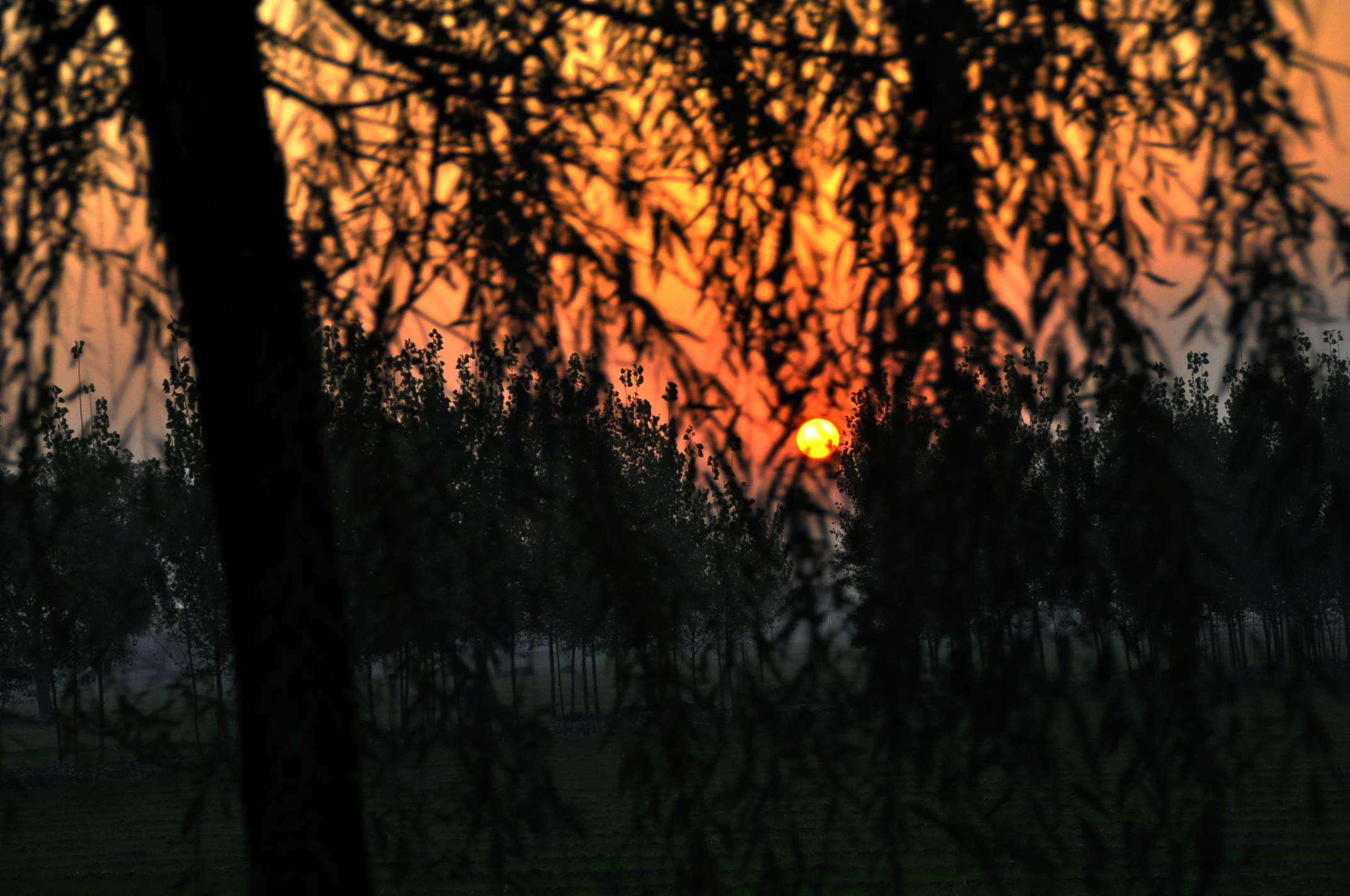dsc_0280.jpg