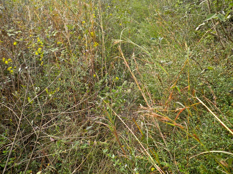 pa300016-2.jpg