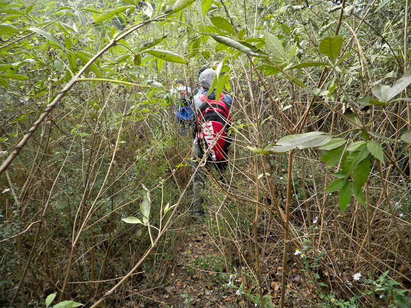pa300020-2.jpg