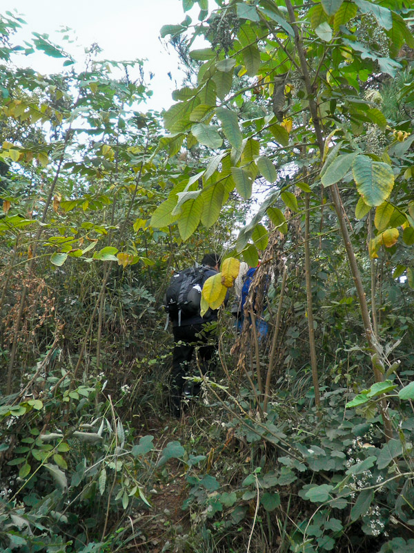 pa300021-2.jpg