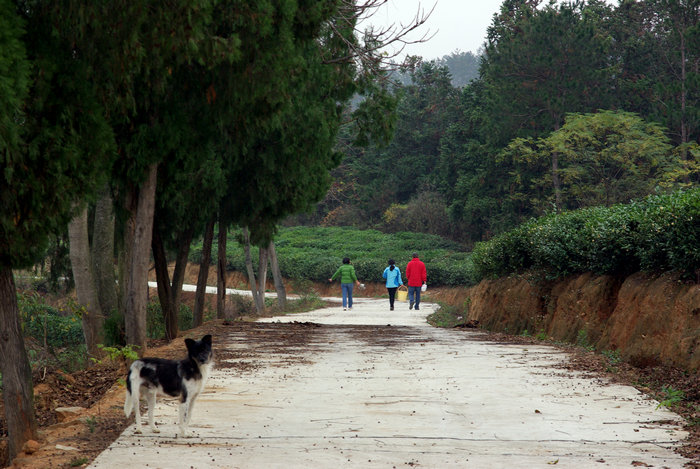 imgp6719.jpg
